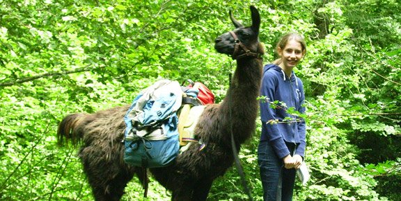 ferme lama2
