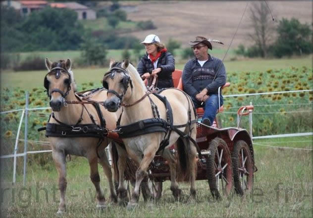 Journée du cheval - Dimanche 30 juillet 2017 à Escayre journee cheval