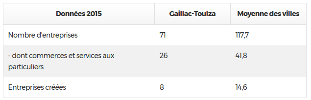 entreprises à gaillac toulza