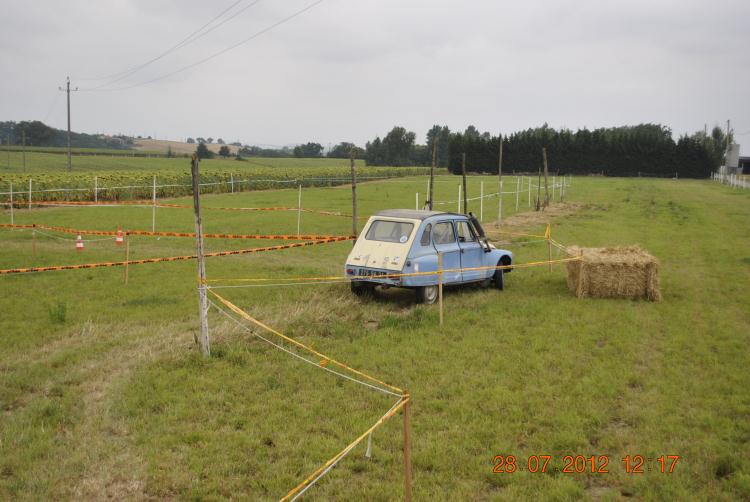 DSC0173