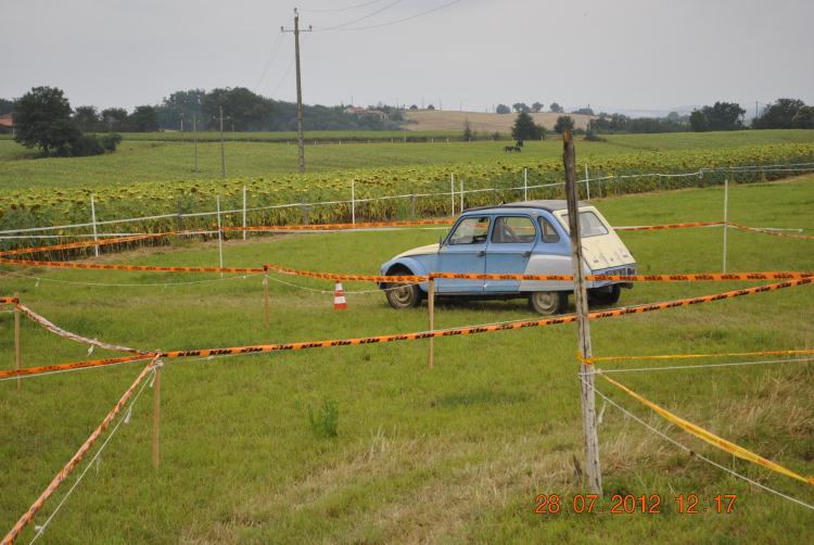 DSC0174