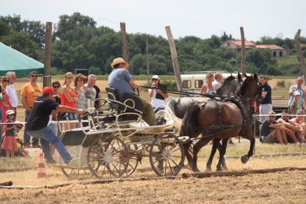 IMG 2705 - Copie