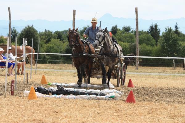 IMG 2716 - Copie