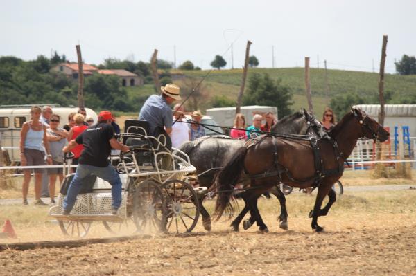 IMG 2706 - Copie