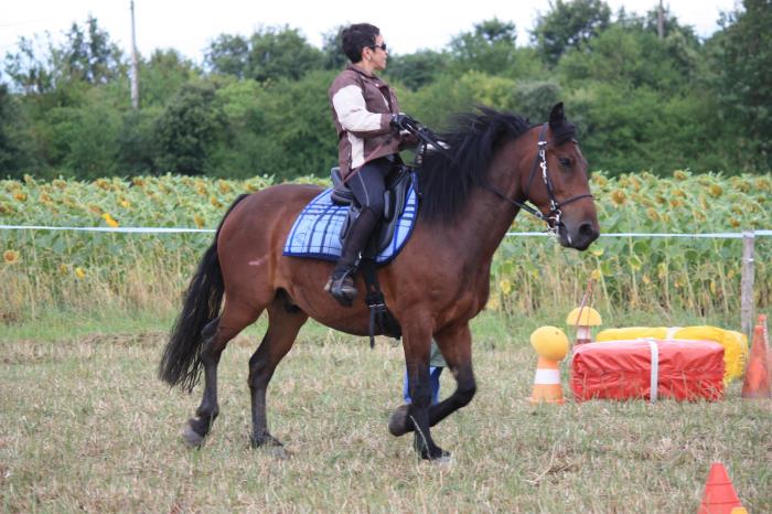 attelage-escayre-2016 (54)