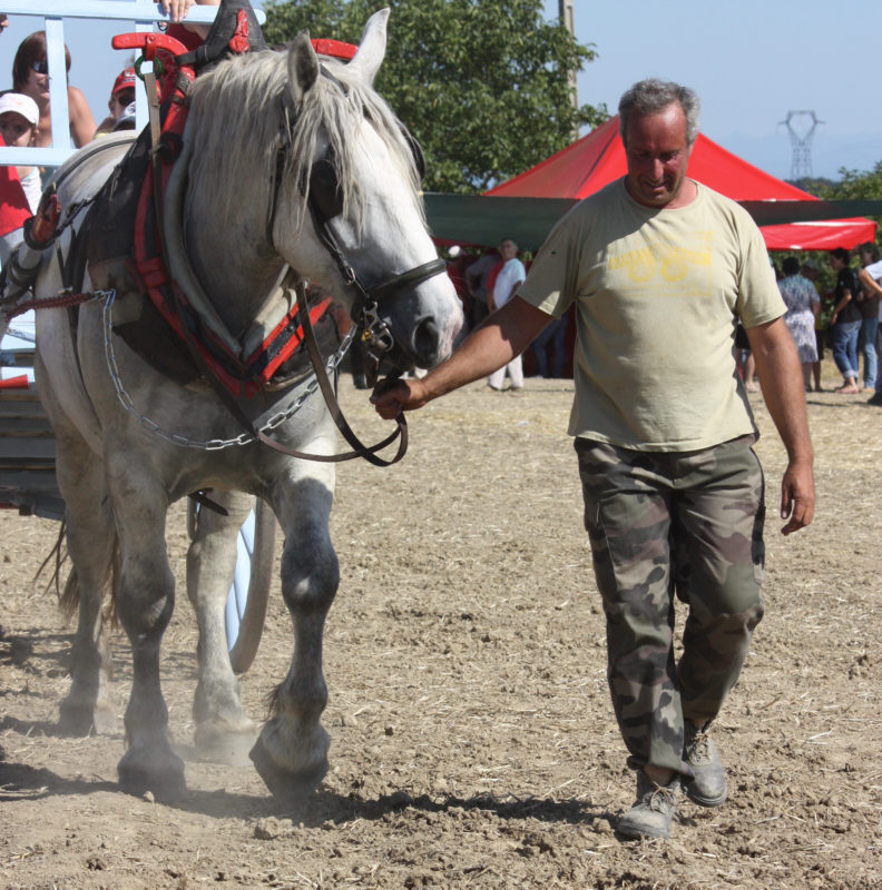 Didier2