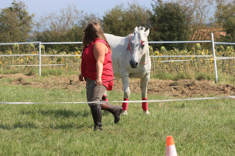Spectacle escayre dressage (52)