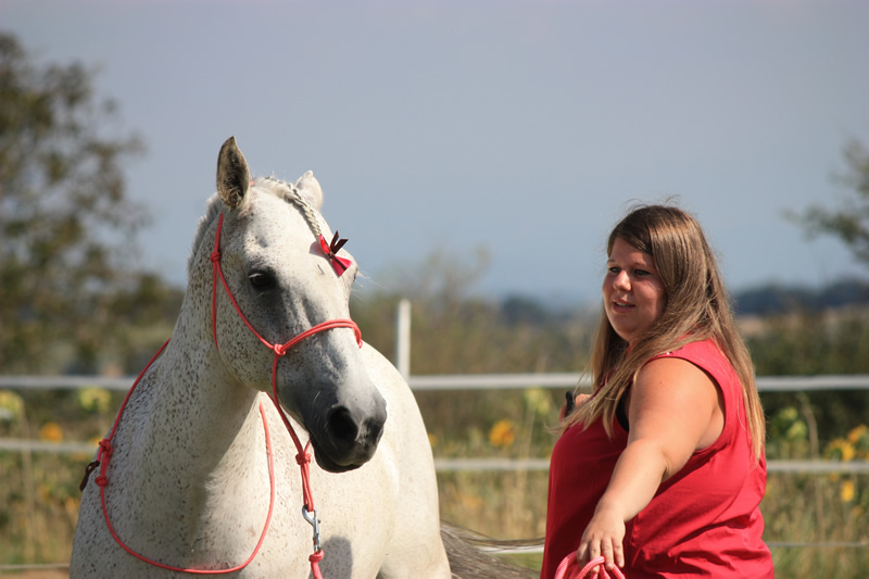 Spectacle escayre dressage (10)