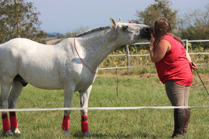 Spectacle escayre dressage (63)