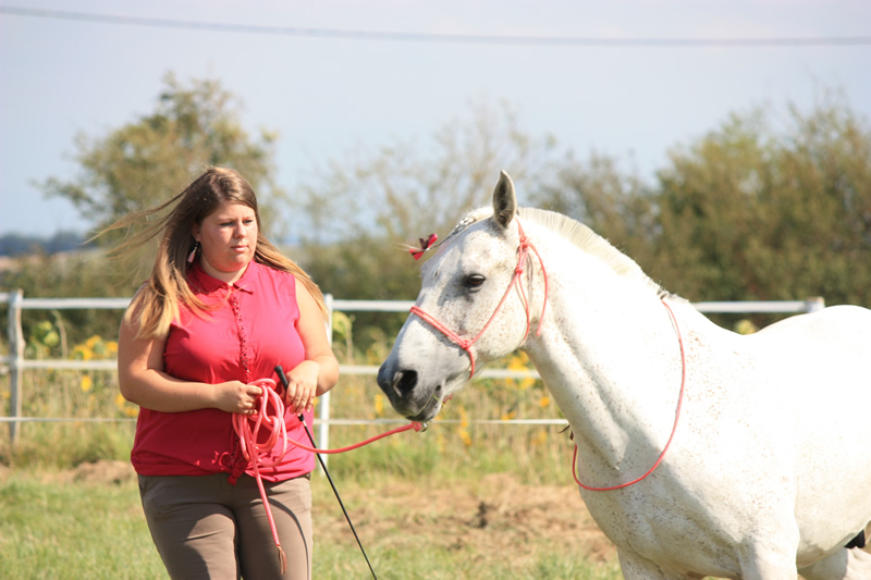 Spectacle escayre dressage (17)