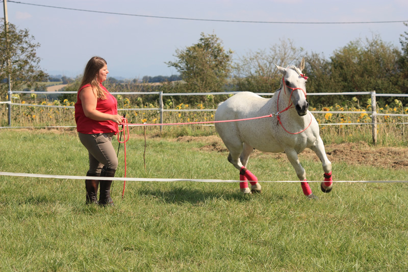 Spectacle escayre dressage (18)