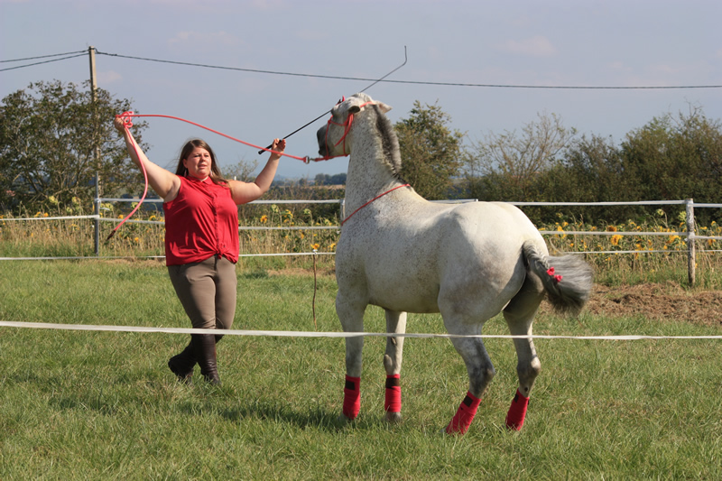Spectacle escayre dressage (26)