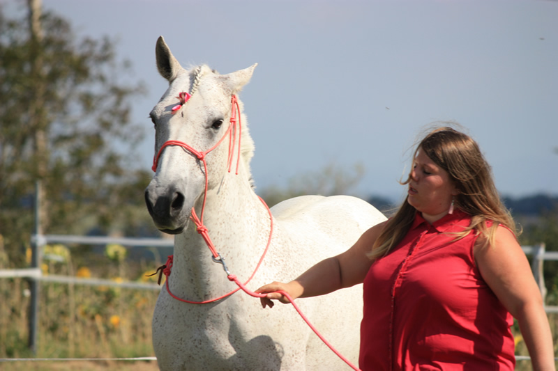 Spectacle escayre dressage (40)