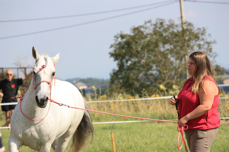 Spectacle escayre dressage (30)