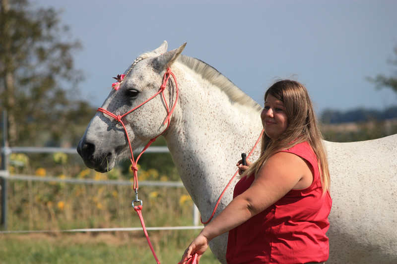 Spectacle escayre dressage (9)