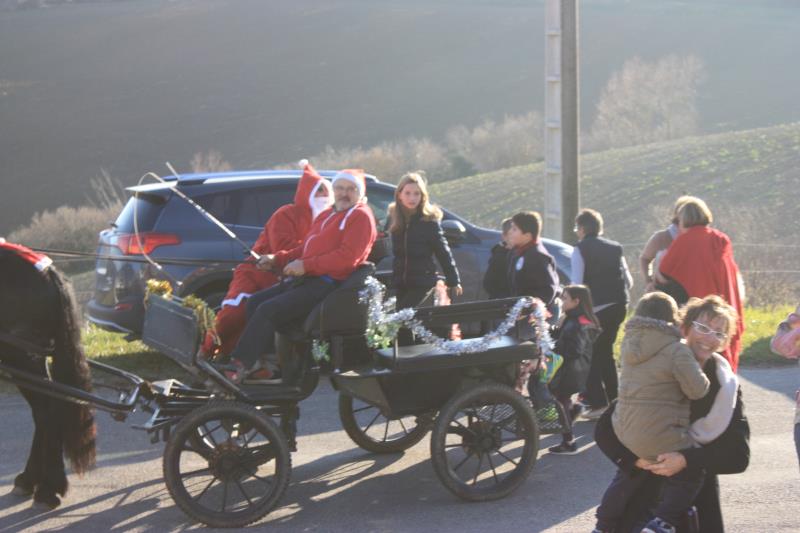 IMG 4594