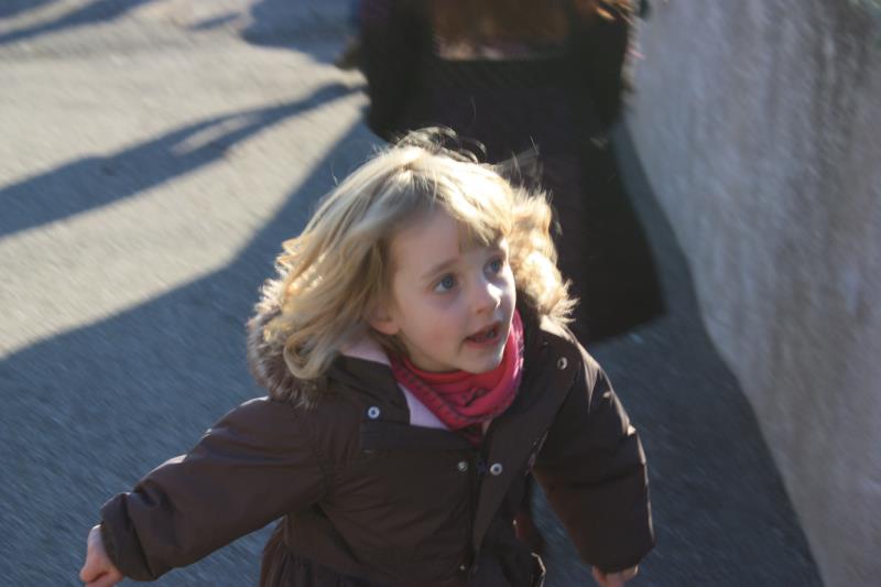 IMG 4592
