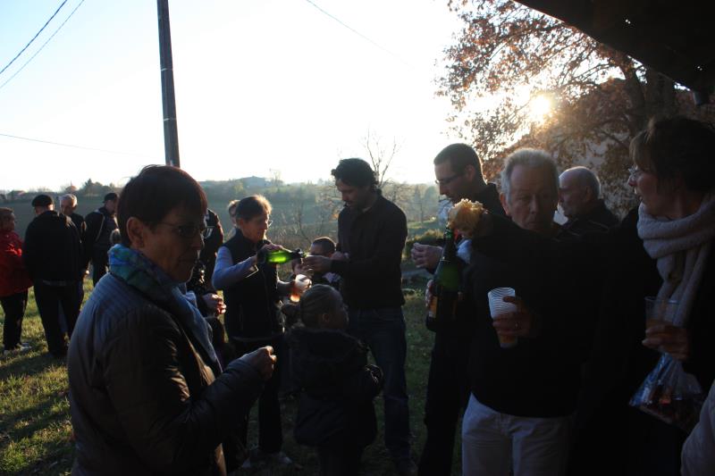 IMG 4785