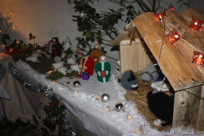 IMG 4755