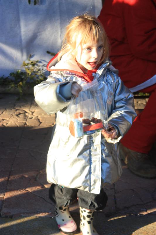 IMG 4734