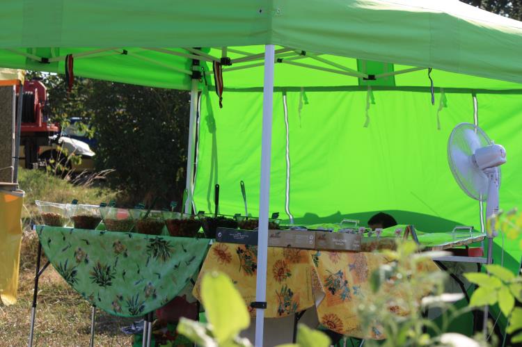 vide-grenier-escayre-2016 (31)