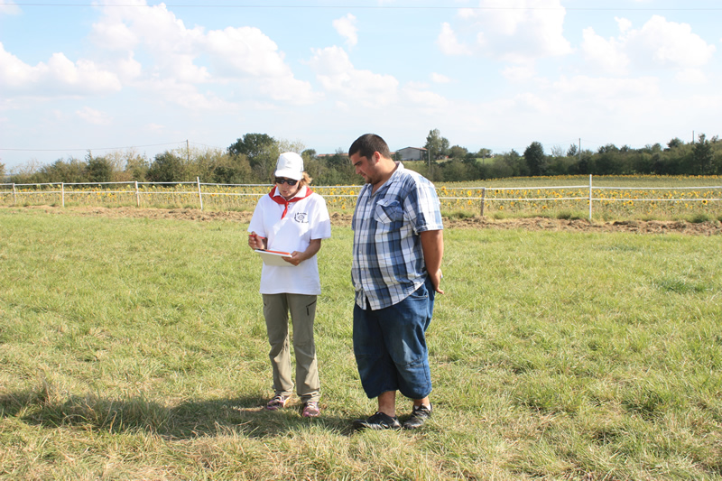 Remise des prix (1)