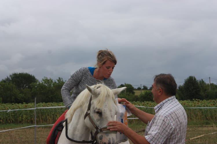 remise-des-prix-journee-cheval (73)