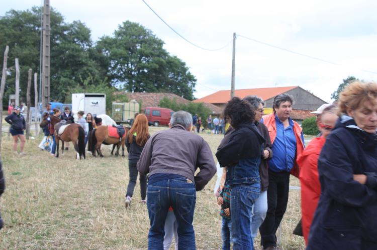 remise-des-prix-journee-cheval (88)