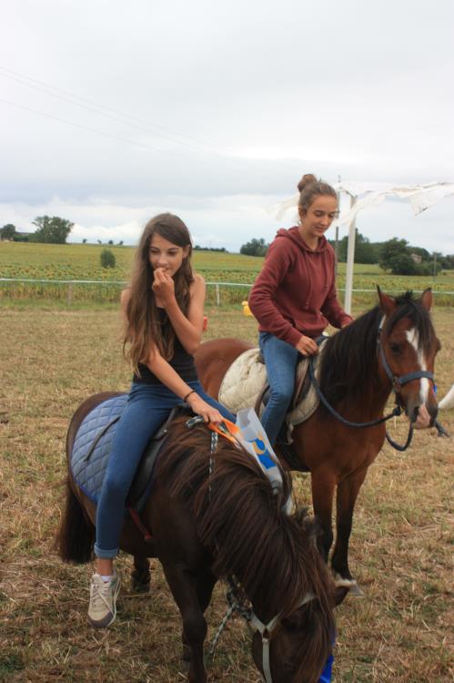 remise-des-prix-journee-cheval (77)