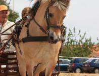 2015 - Escayre en fête