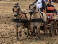 Attelage à Escayre - 2016