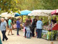 Gaillac Toulza - 2017